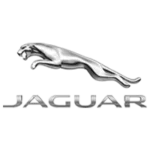 jaguar-150x150-1.webp